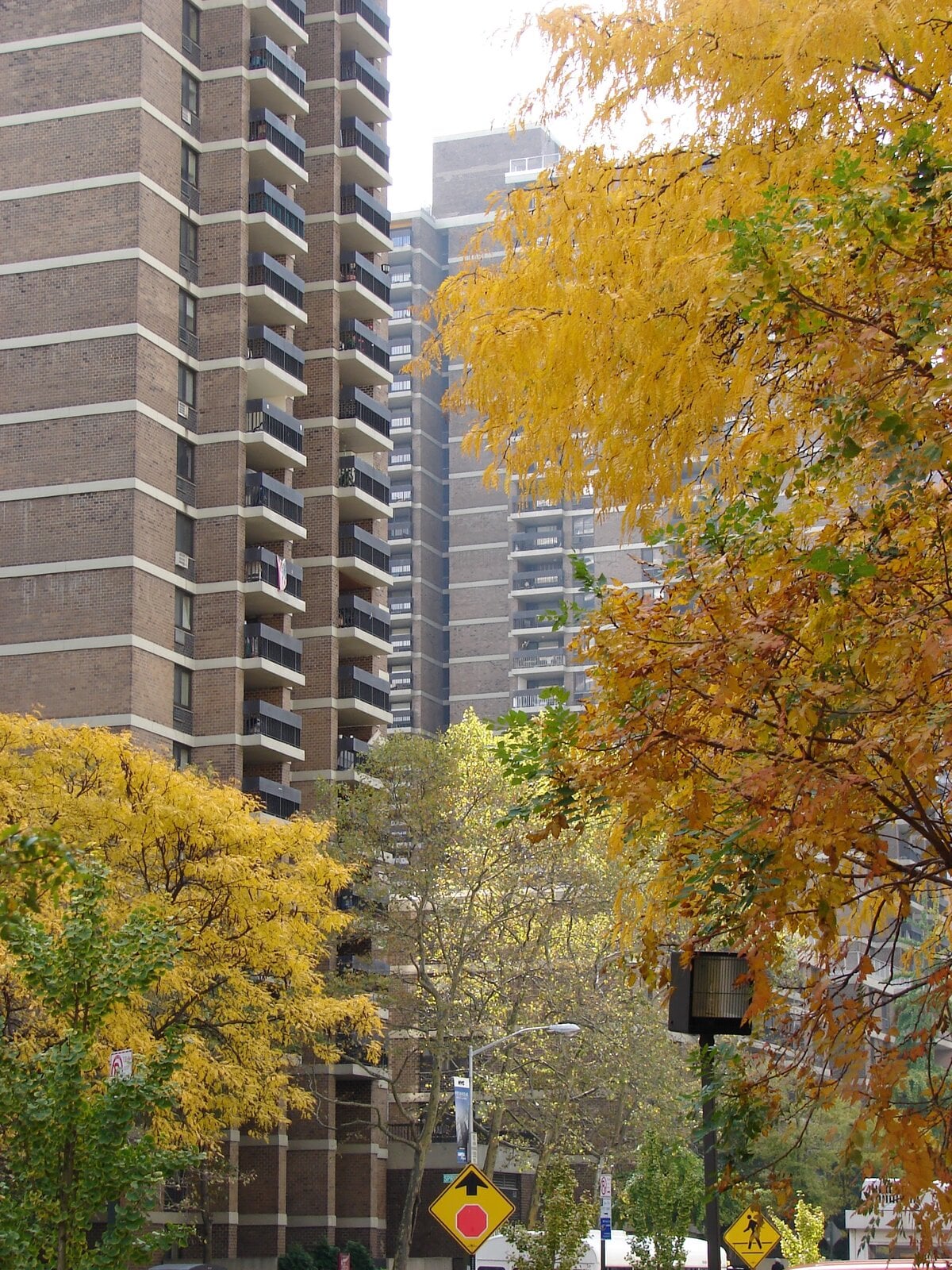 A Southbridge Towers tower framed by golden autumn foliage on Beekman Street
